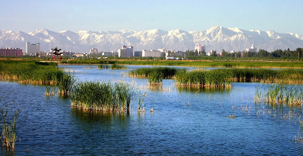 微山湖人工湿地